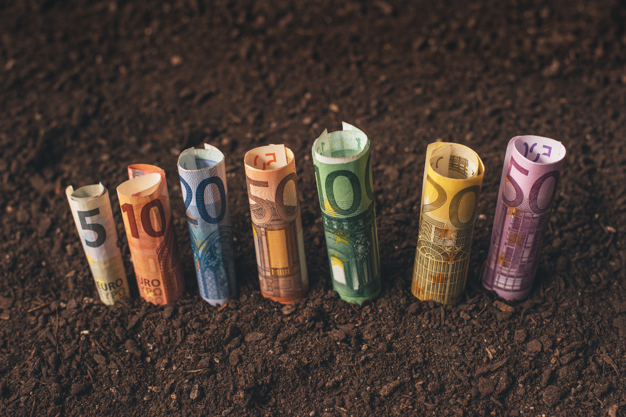 Crédito pessoal: sabe o que é e para que serve?