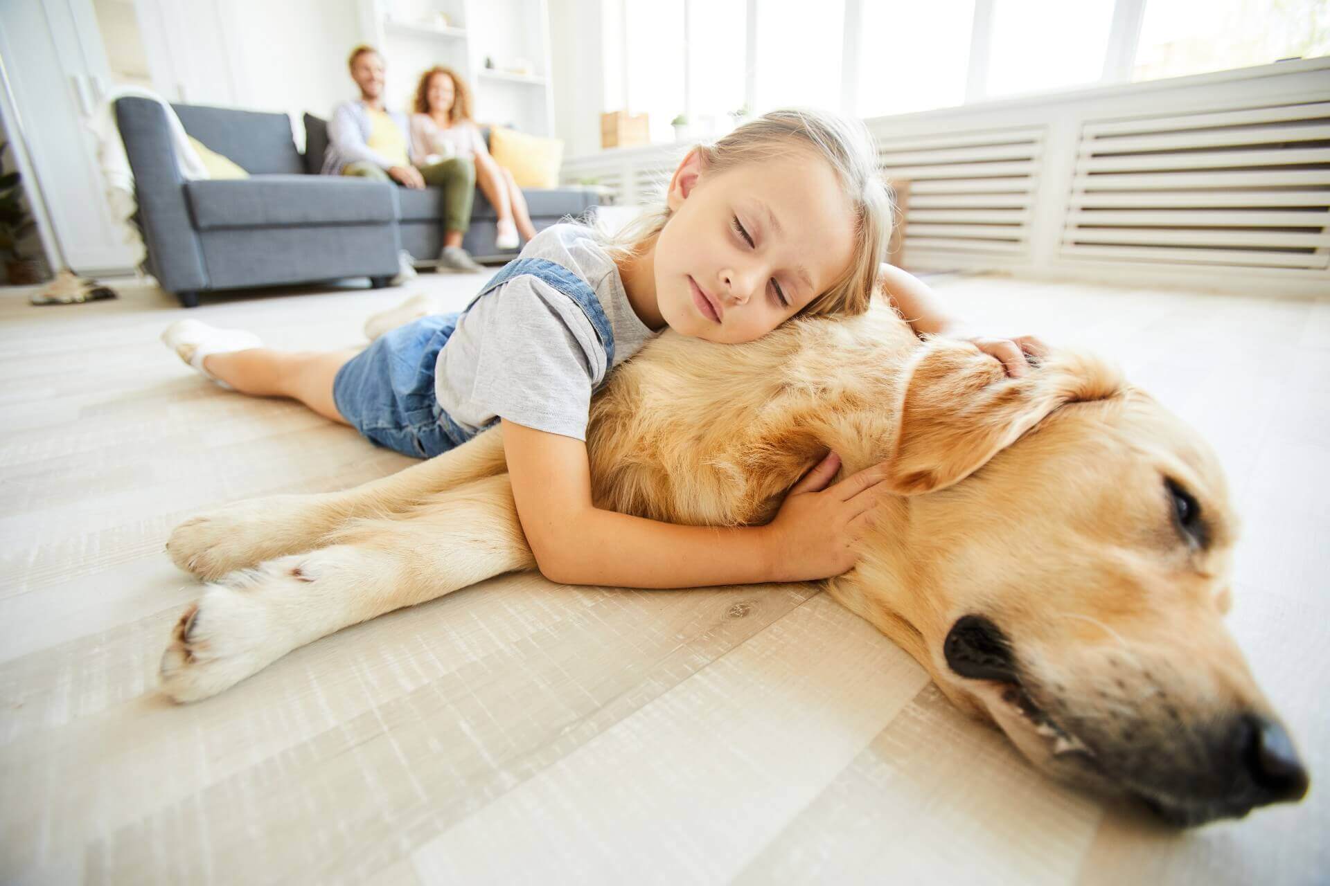 Animais de estimação: cuide do(s) seu(s)!
