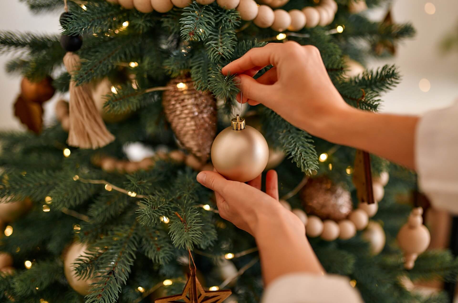 A árvore de Natal mais bonita? A sua!
